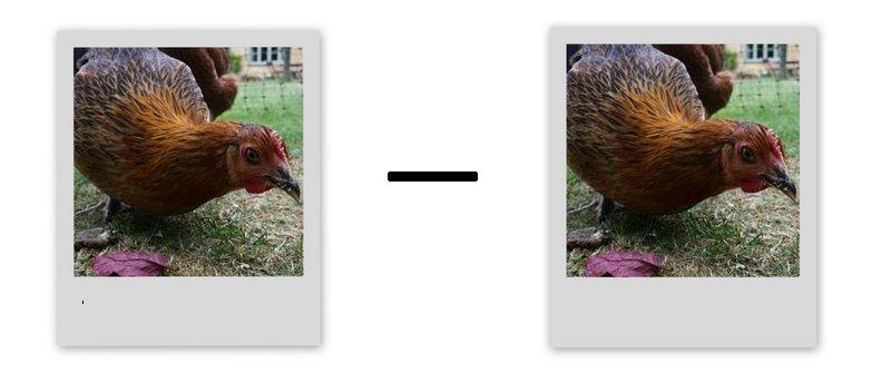 Chicken Difference