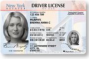 nys drivers license